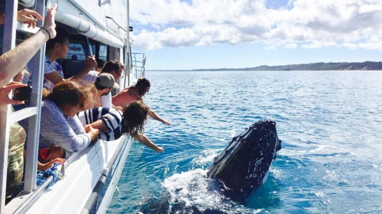 whale-watching-cruise-70675-ws